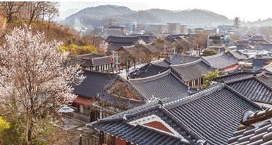 (團號 : QG-01) 春日限定<全州韓屋村> +「韓國之春，從光陽梅花村開始」光阳春韵·梅花盛宴之旅 1天團