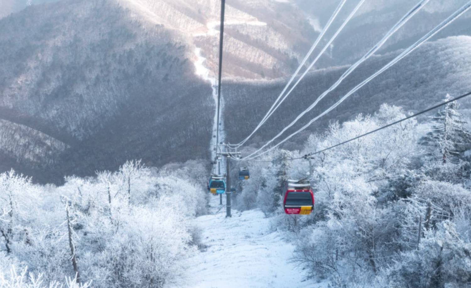 (團號: SY-01) 龍平-冬季童話一天團