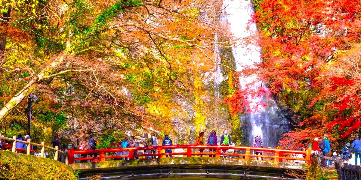 大阪出發◆秋色紅葉之旅◆有馬一天遊【箕面紅葉公園 ▎勝尾寺ʊ可愛達摩 ▎瑞寶寺公園★賞楓名勝地  ▎寶塚大劇場前通】(KOA-01A)