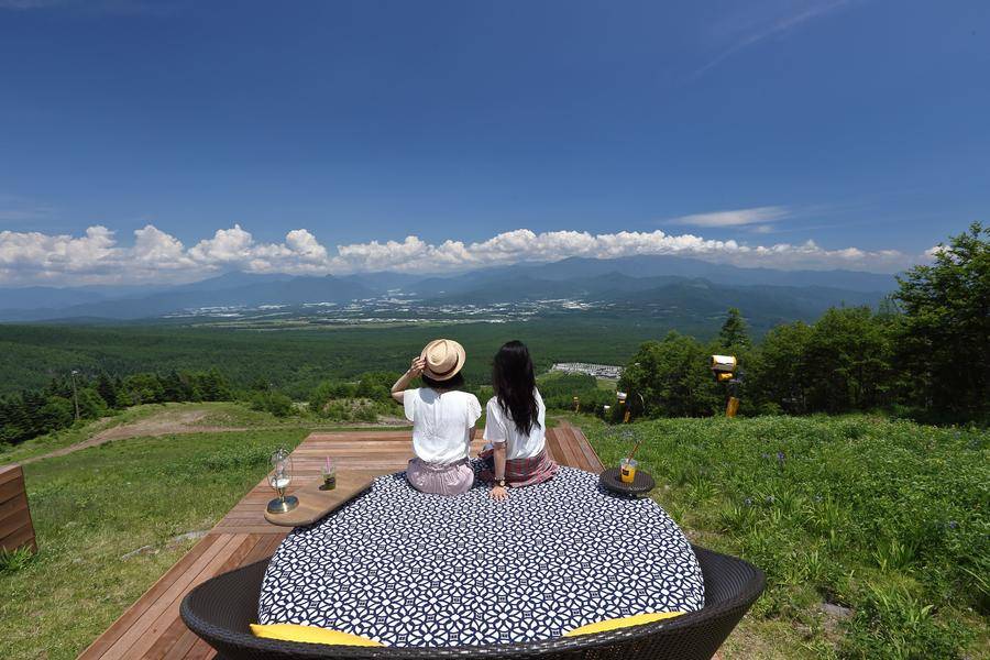 富士山花田，清里高原溫泉 2天團【大石公園花海/明野向日葵花田、清里高原1900公尺的山頂絕景+斜坡滑車、入住八岳森林小木屋、時令果園 】KTK-02N