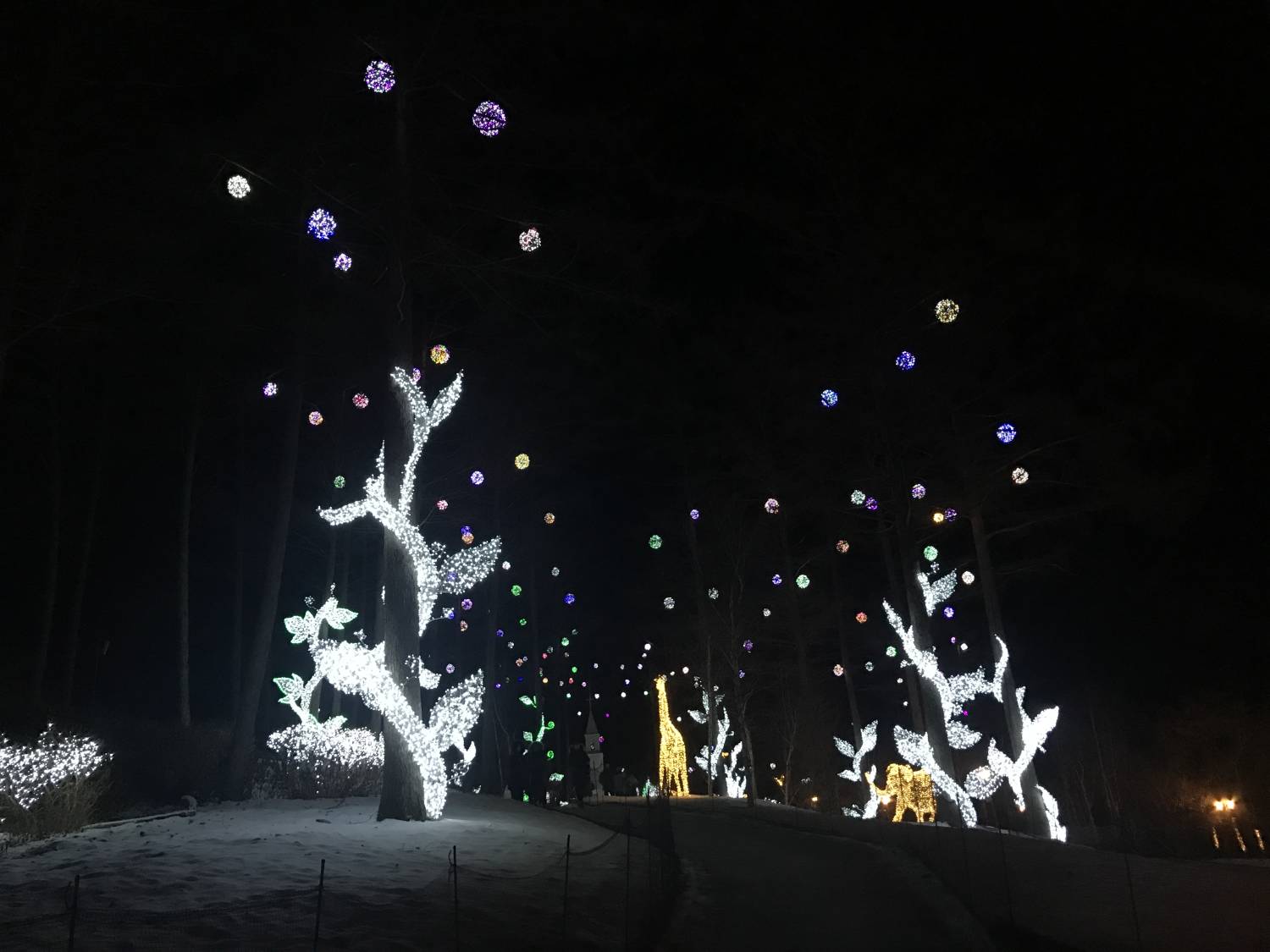 (團號:SN-01) 南怡島,EOBI冰谷,羊牧場,浪漫夜遊晨靜樹木園,草莓一天團