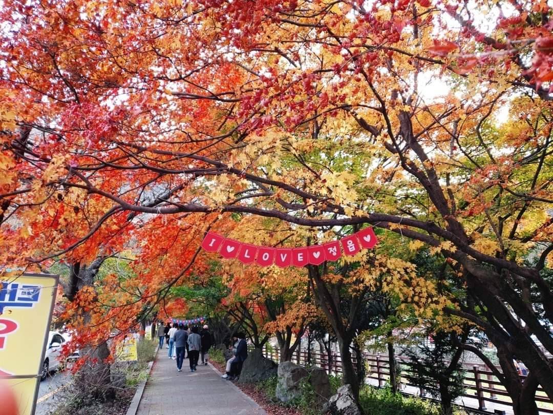 (團號:NJ-01) (10月&11月份) 2024全新內藏山內藏寺紅葉慶典一天團