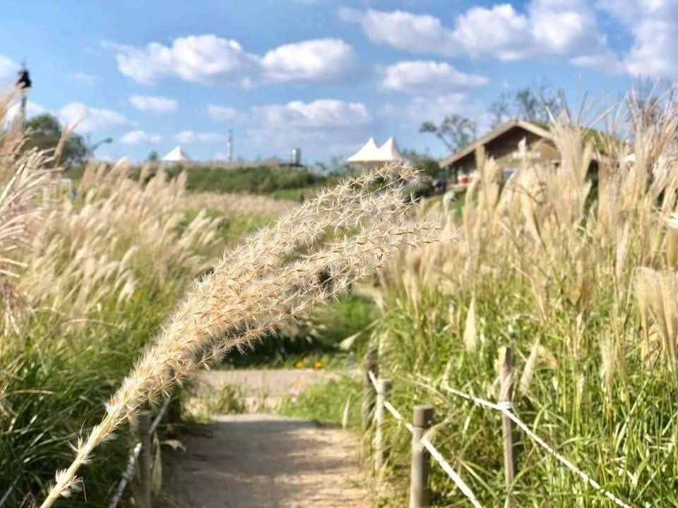 (團號:NR-01) 10月限定 · 波波草夢幻打卡一日遊