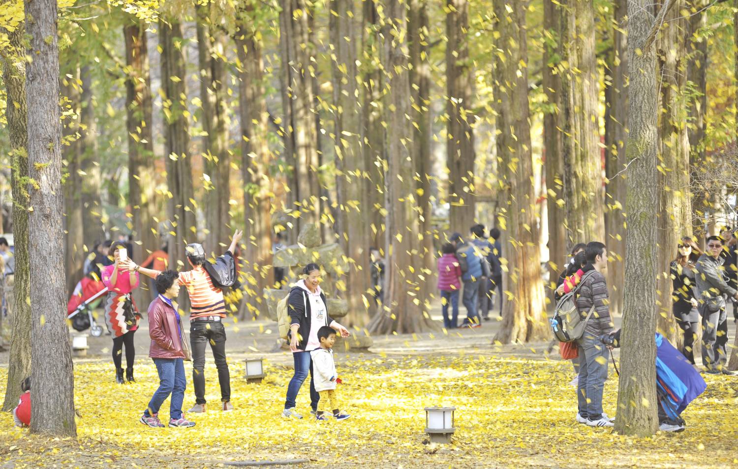 (團號:NC-01) 首爾出發 春川三岳山湖水纜車,南怡島紅葉，傳統茶屋 一天團