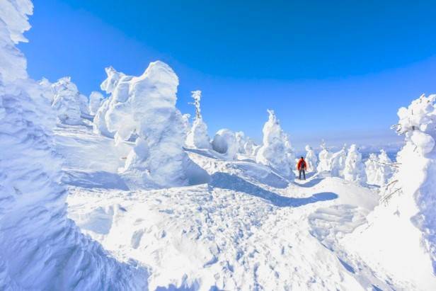 東京出發◆藏王樹冰▎銀山溫泉街▎豬苗代溫泉滑雪玩雪兜▎任食草莓園▎冬日三天團KTZ-03