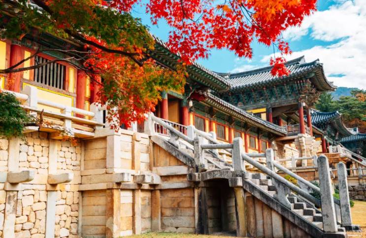 (團號: SG-03) 深度原州,浦項,慰山三天團