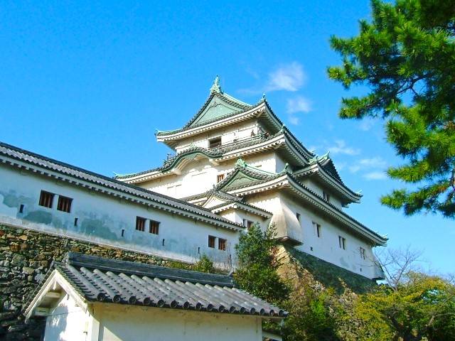 大阪出發◆和歌山之旅◆時令果園體驗一天遊【貓站長和歌山鐵道體驗 ▎黒潮市場/歐羅巴港/紀之國水果村 ▎三大平原山城之一 和歌山城】(KOW-01N)