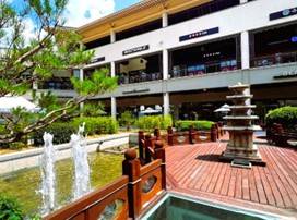 (團號 : LO-01) <一人成團> 蓮花慶典，愛情樹，百年古韻與現代融合大型Outlet 一天團