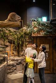 (團號 : PXZ-01/26) <一人成團> 蘋果西瓜×星空圖書館×  最大規模室內動物園 暢玩 一天團