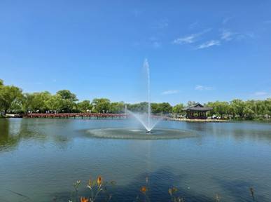 (團號 : LO-01) <一人成團> 蓮花慶典，愛情樹，百年古韻與現代融合大型Outlet 一天團