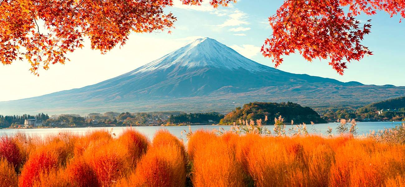 東京出發，富士山 秋日賞紅葉溫泉 2天團【入住八岳小木屋享用蟹放題、忍野八海、紅葉秘景昇仙峽、時令果園】KTF-02A