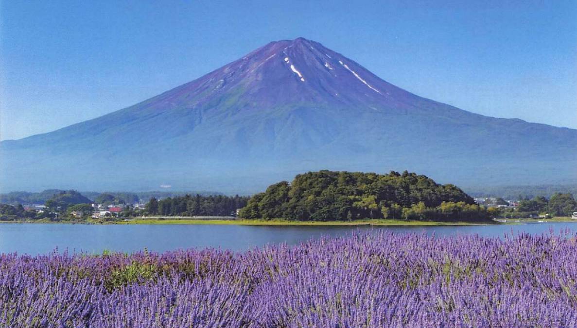 富士山花田，清里高原溫泉 2天團【大石公園花海/明野向日葵花田、清里高原1900公尺的山頂絕景+斜坡滑車、入住八岳森林小木屋、時令果園 】KTK-02N