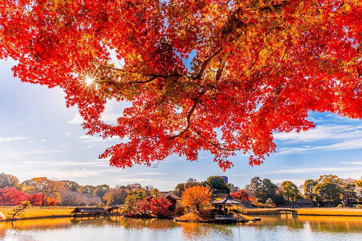 岡山-森之藝術祭 賞紅葉看藝術三天團 【四大藝術展場: 奈義現代美術館-奥津渓- GREENable HIRUZEN-満奇洞▎紅葉名所-後樂園▎倉敷古街】KOO-03ART 大阪出發