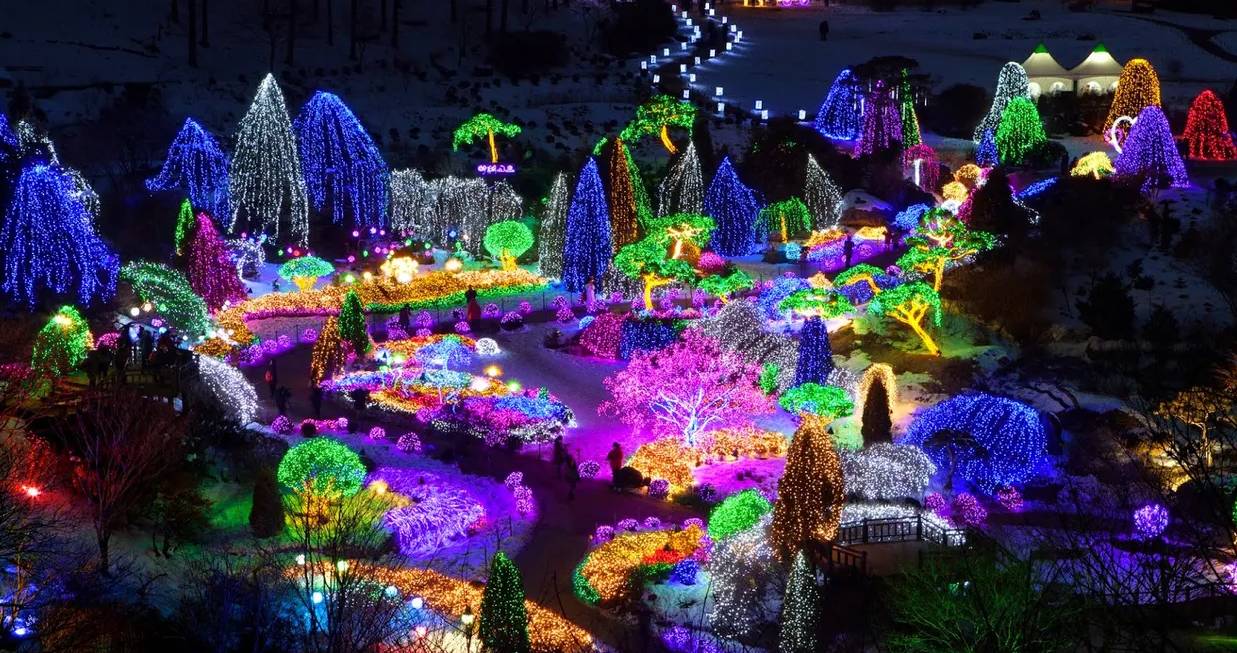 (團號:NS-01)冬日南怡島晨光夜色 一天團