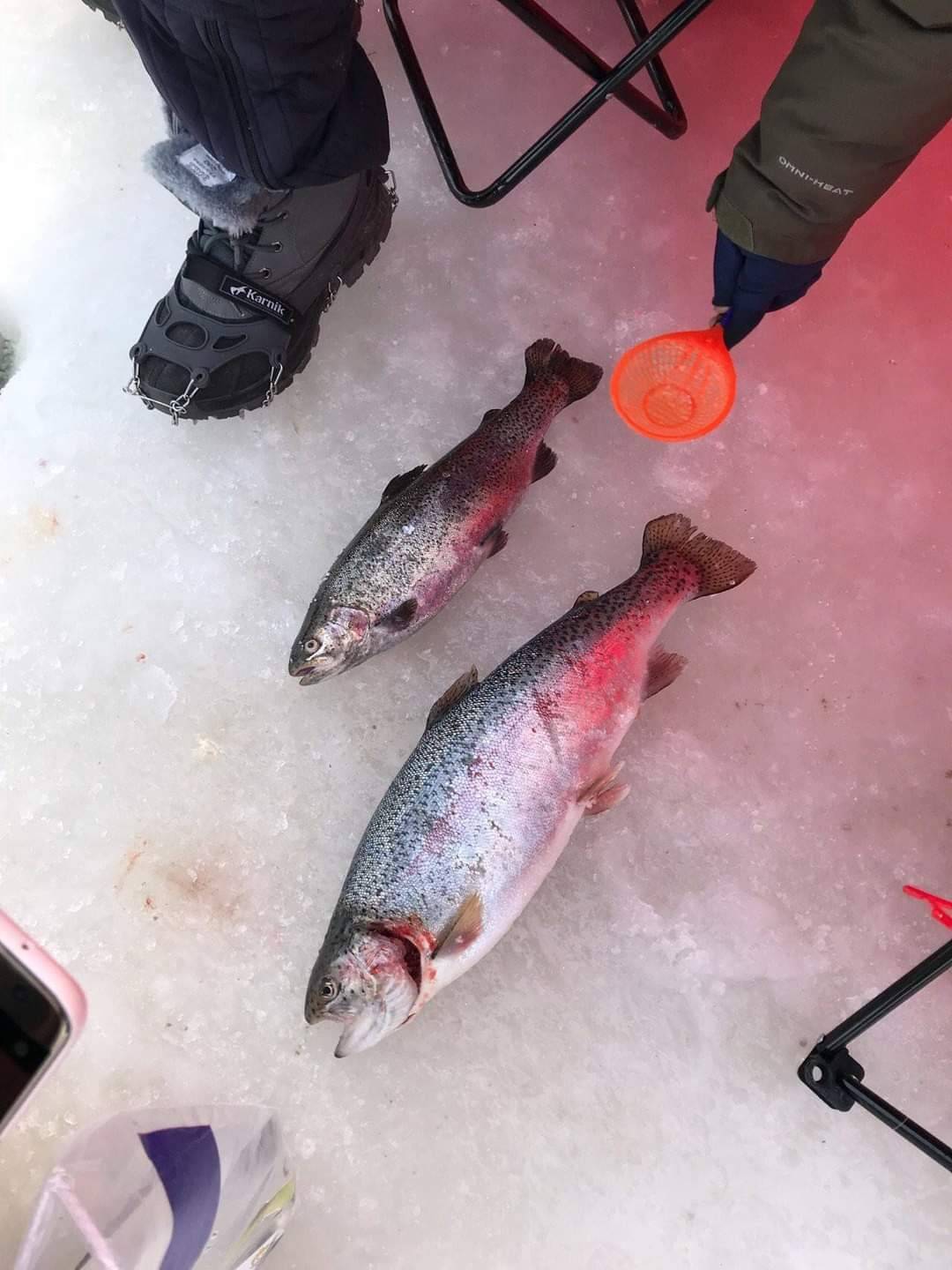 (團號:-FH01) 平昌釣冰魚 一天團