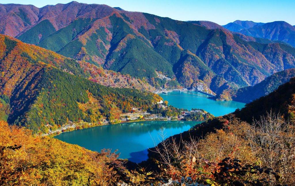 東京出發◆高尾山,  奥多摩湖 賞花 一天遊【紅葉名所-高尾山 ▎奥多摩湖~ 麥山浮橋 】(KTM-01A)
