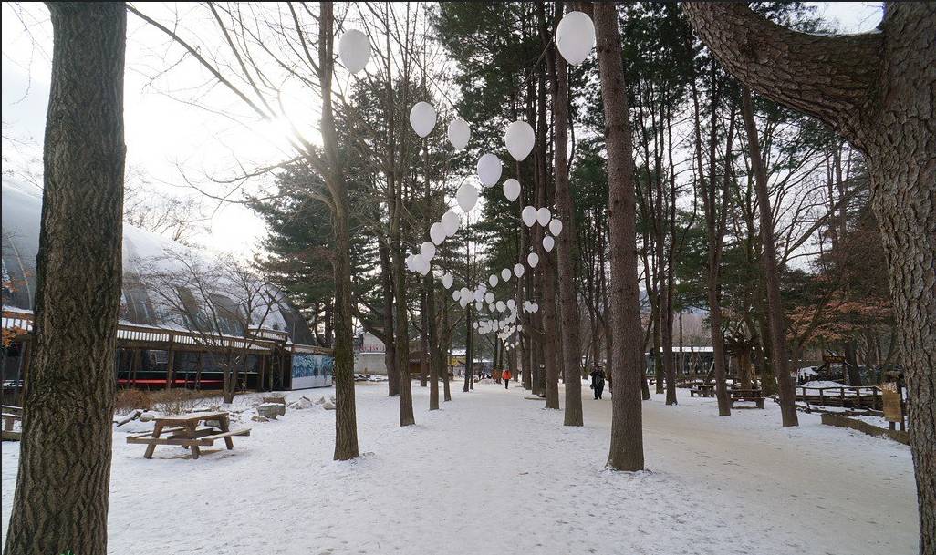 (團號:NS-01)冬日南怡島晨光夜色 一天團