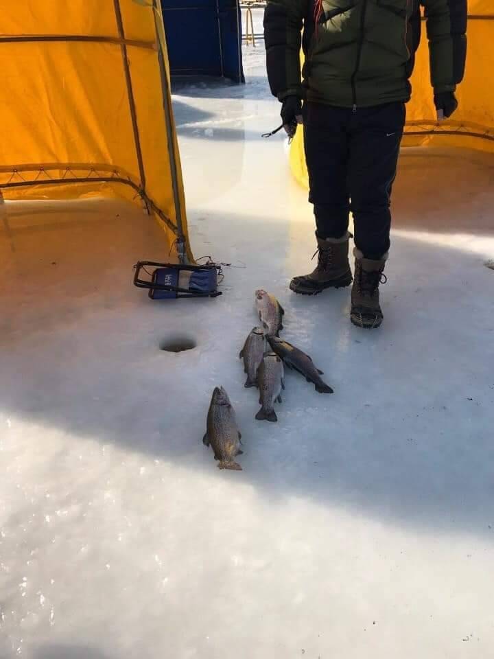 (團號:-FH01) 平昌釣冰魚 一天團