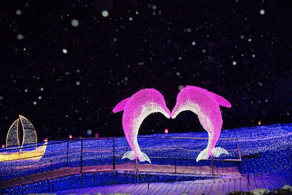 (團號:NS-01)冬日南怡島晨光夜色 一天團