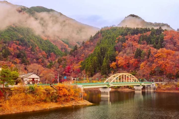 東京出發◆高尾山,  奥多摩湖 賞花 一天遊【紅葉名所-高尾山 ▎奥多摩湖~ 麥山浮橋 】(KTM-01A)